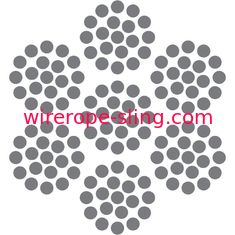 ナイロン上塗を施してあるステンレス鋼ワイヤー ロープの軽量の適用範囲が広い摩耗抵抗